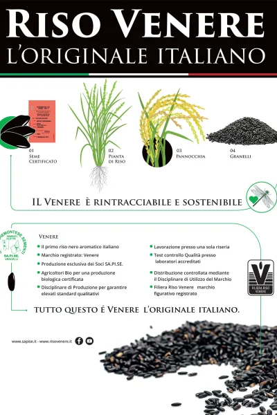 2106 roll upRISO_VENERE_Stampa_senza