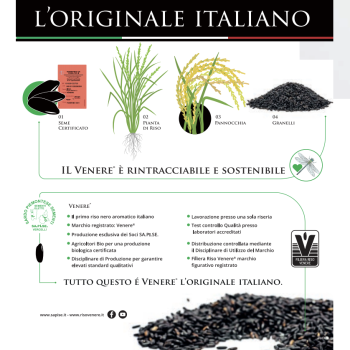 Infografica Venere